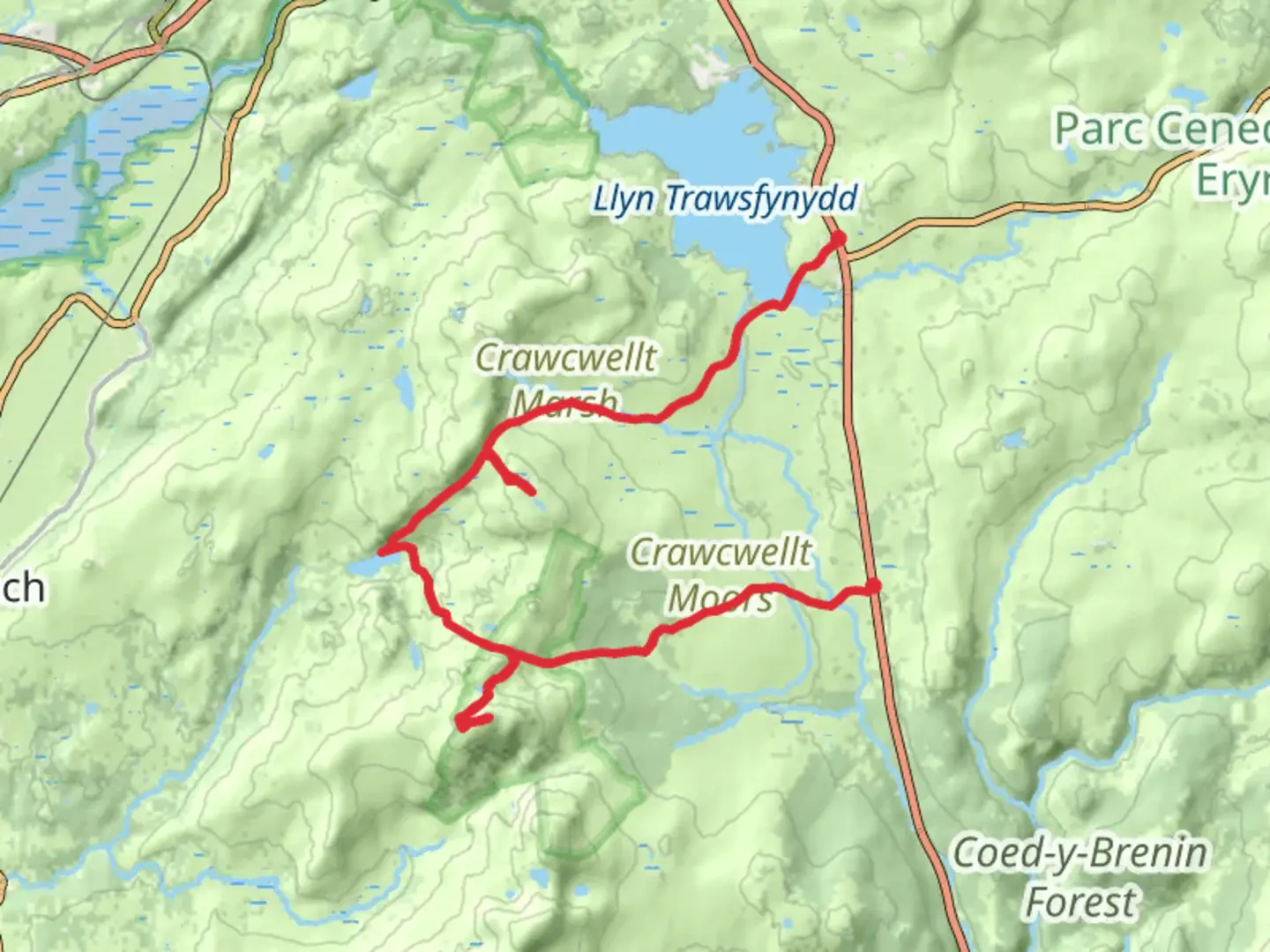 An image depicting the trail Rhinog Fawr and nearby Tarns and its surrounding area.