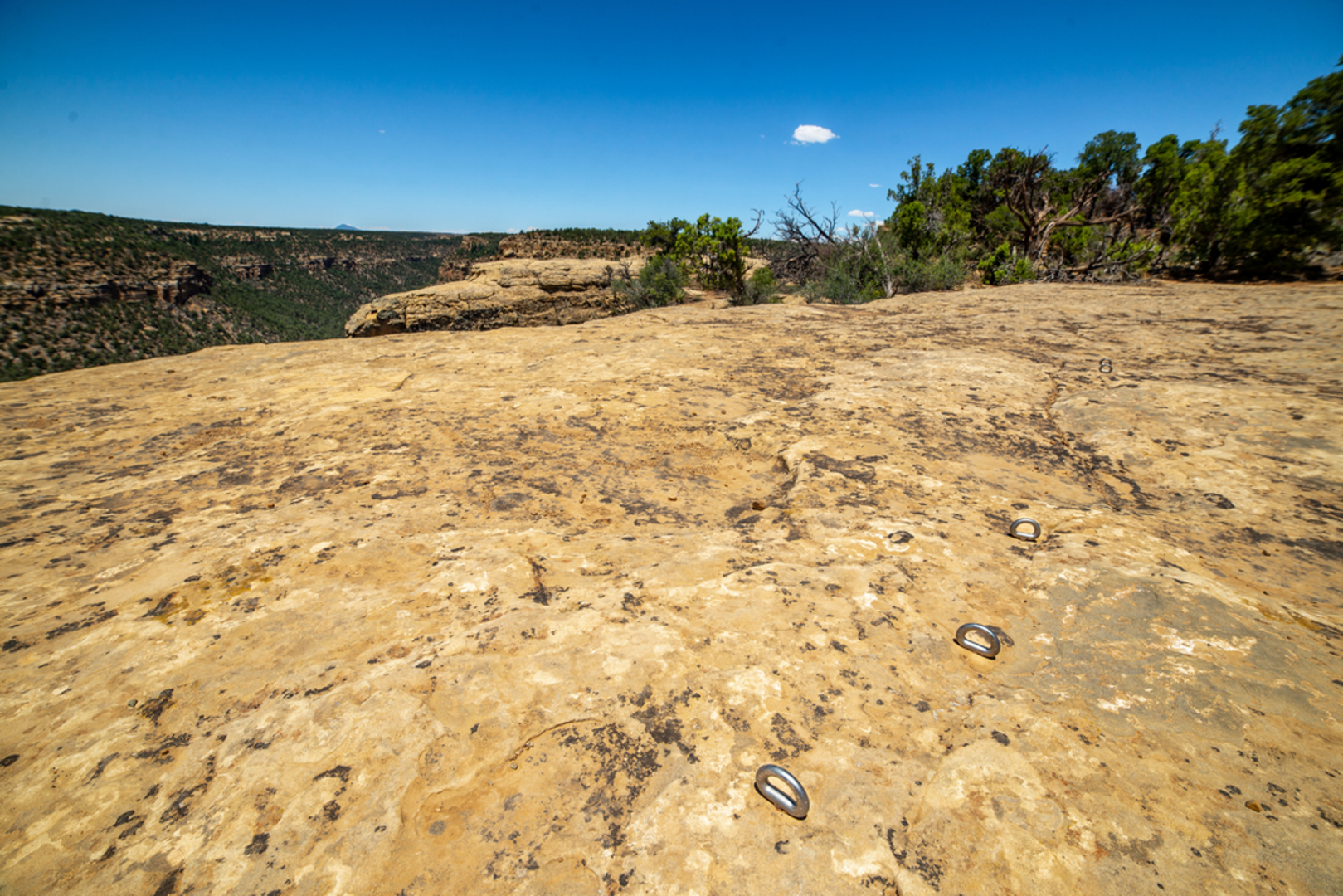 An image depicting the trail Petroglyph Point Trail Loop and its surrounding area.