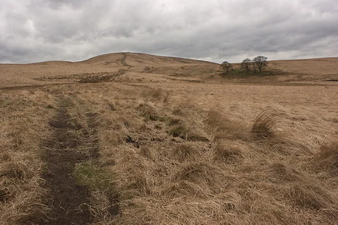 An image depicting the trail Great Hill Loop - Brinscall and its surrounding area.