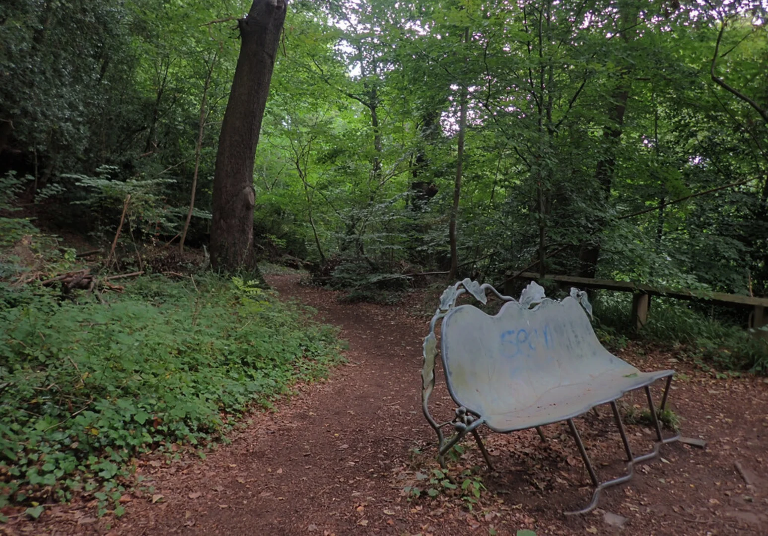 An image depicting the trail Saltburn Valley Gardens Walk and its surrounding area.