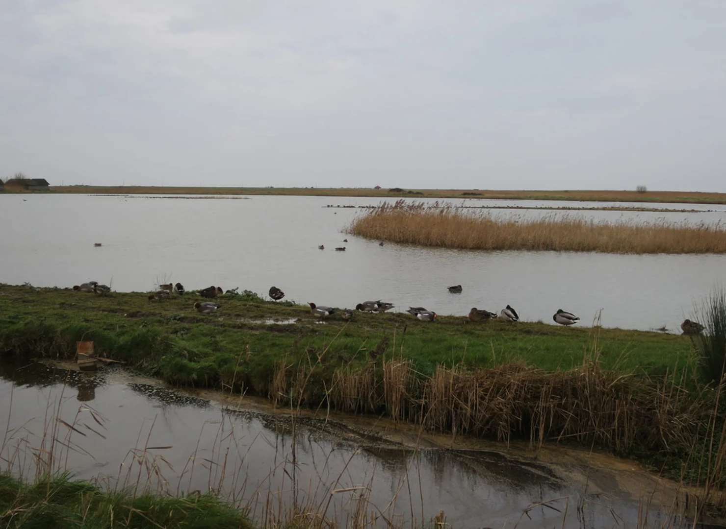 An image depicting the trail Cley Marshes Loop and its surrounding area.