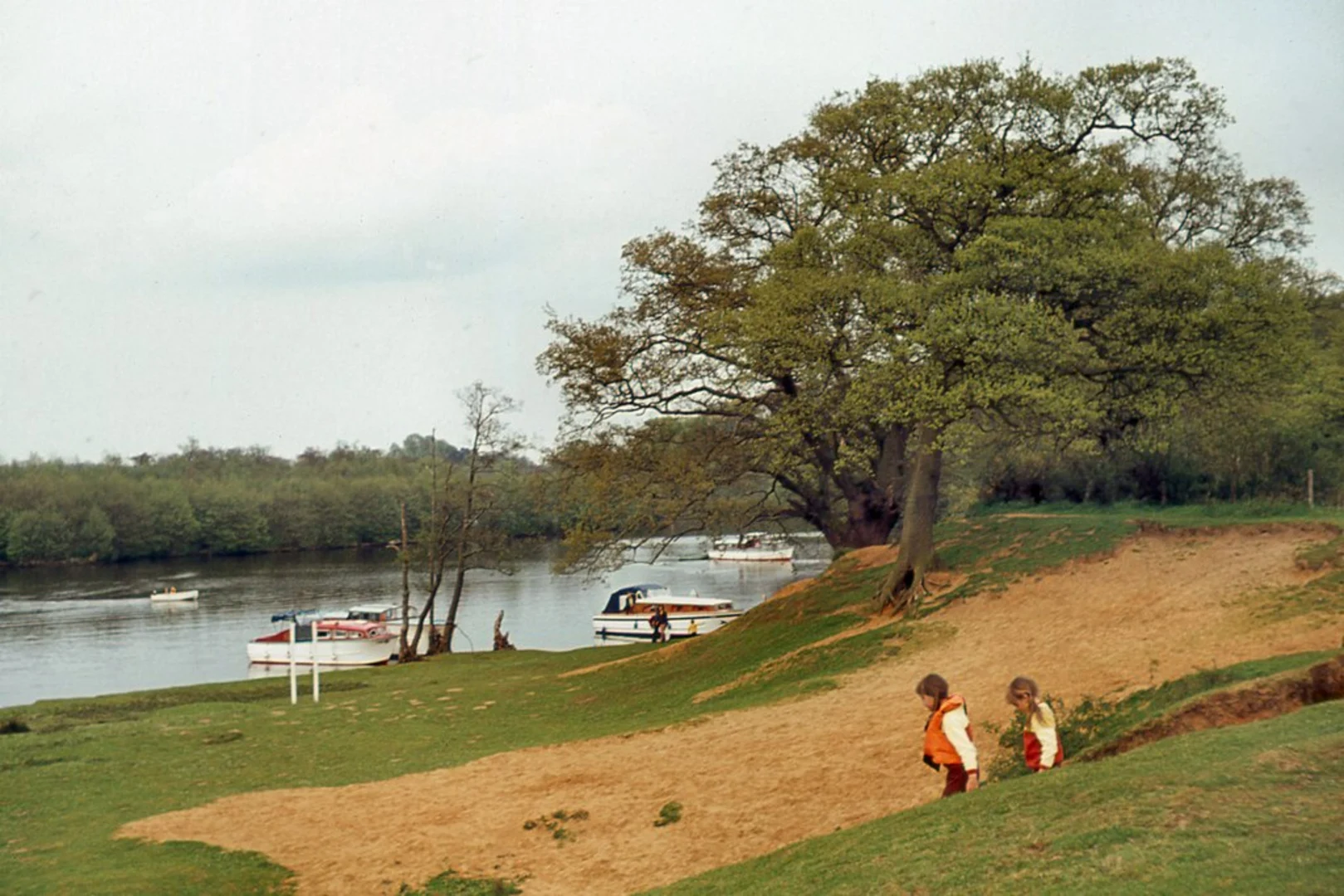 An image depicting the trail Salhouse Broad Loop and its surrounding area.