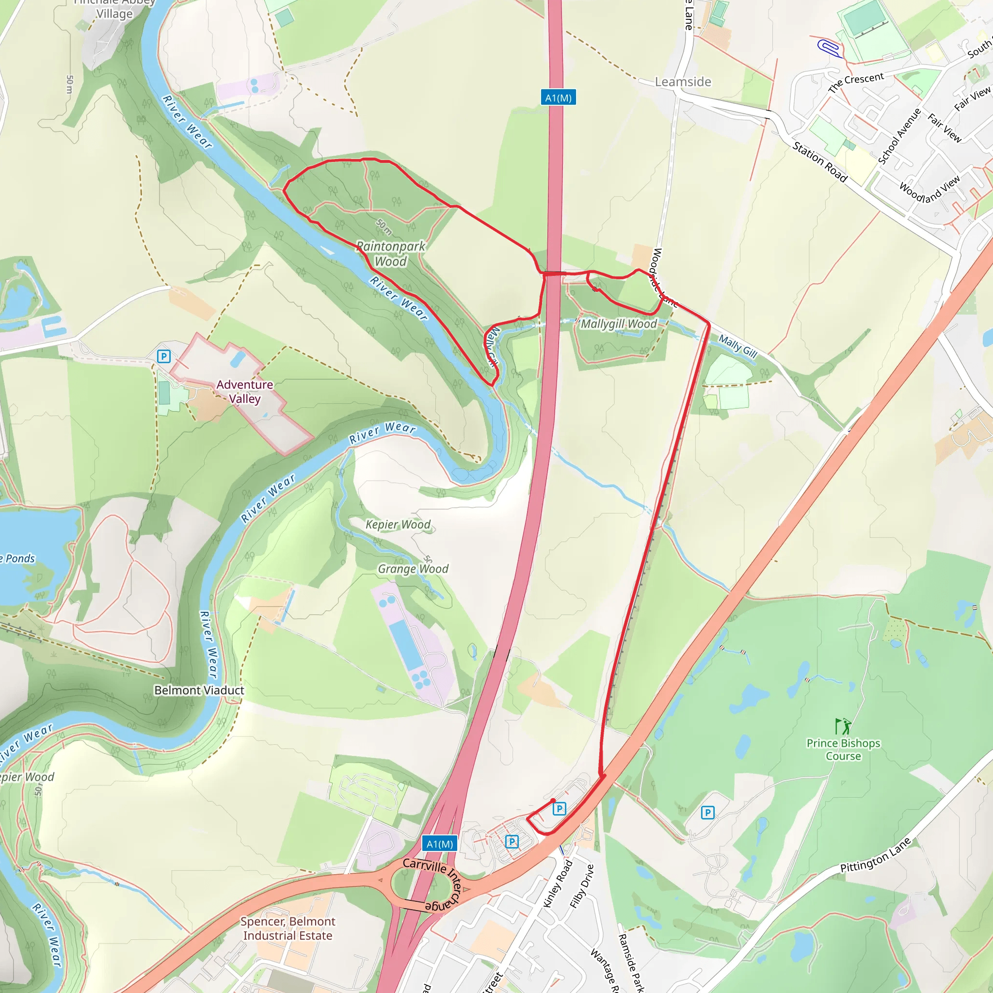 Raintonpark Wood Loop mobile static map