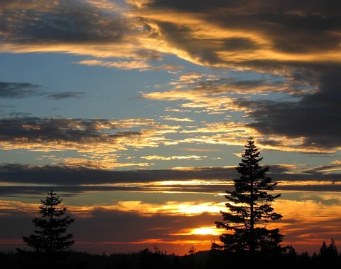 An image depicting the trail Bullpen Trail and its surrounding area.