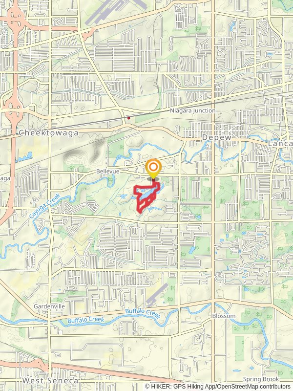 Flattail Lake - Hidden Pond and Lily Pond Loop