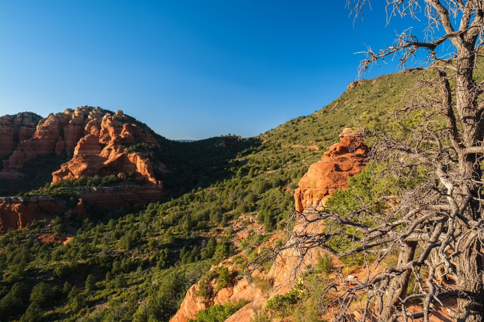 An image depicting the trail Munds Wagon Trail and Hangover Loop Trail and its surrounding area.