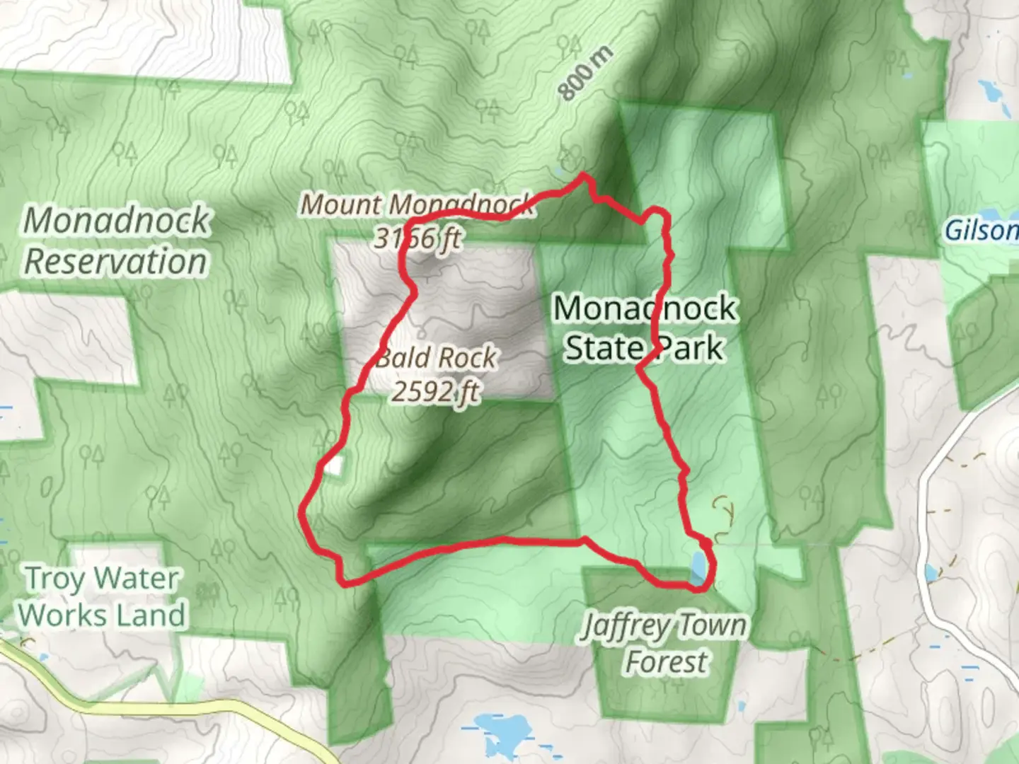 An image depicting the trail Mount Monadnock - Monte Rosa Loop Trail and its surrounding area.