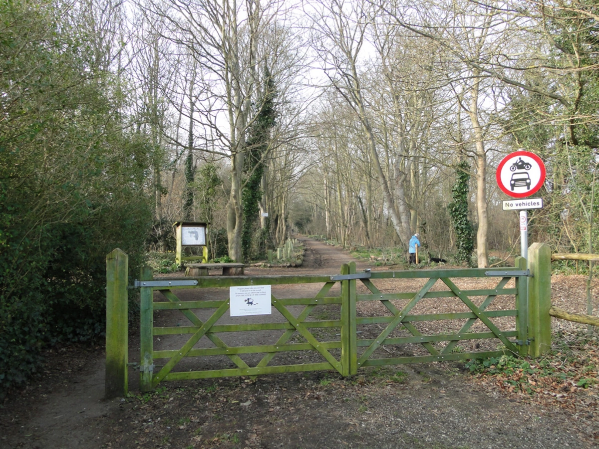Gunton Wood Loop