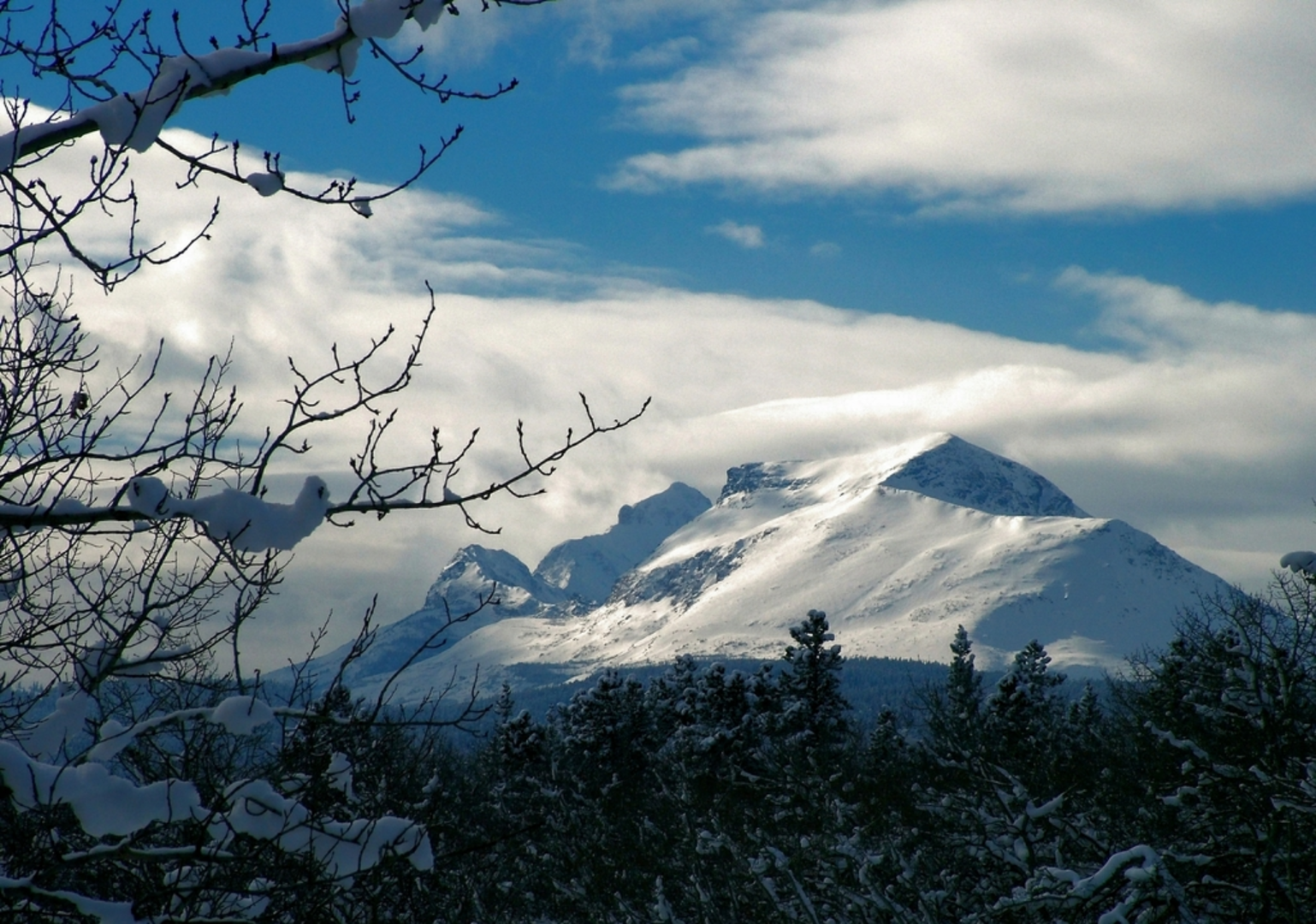 An image depicting the trail Autumn Creek South Trail via Fireband Pass Trail and its surrounding area.