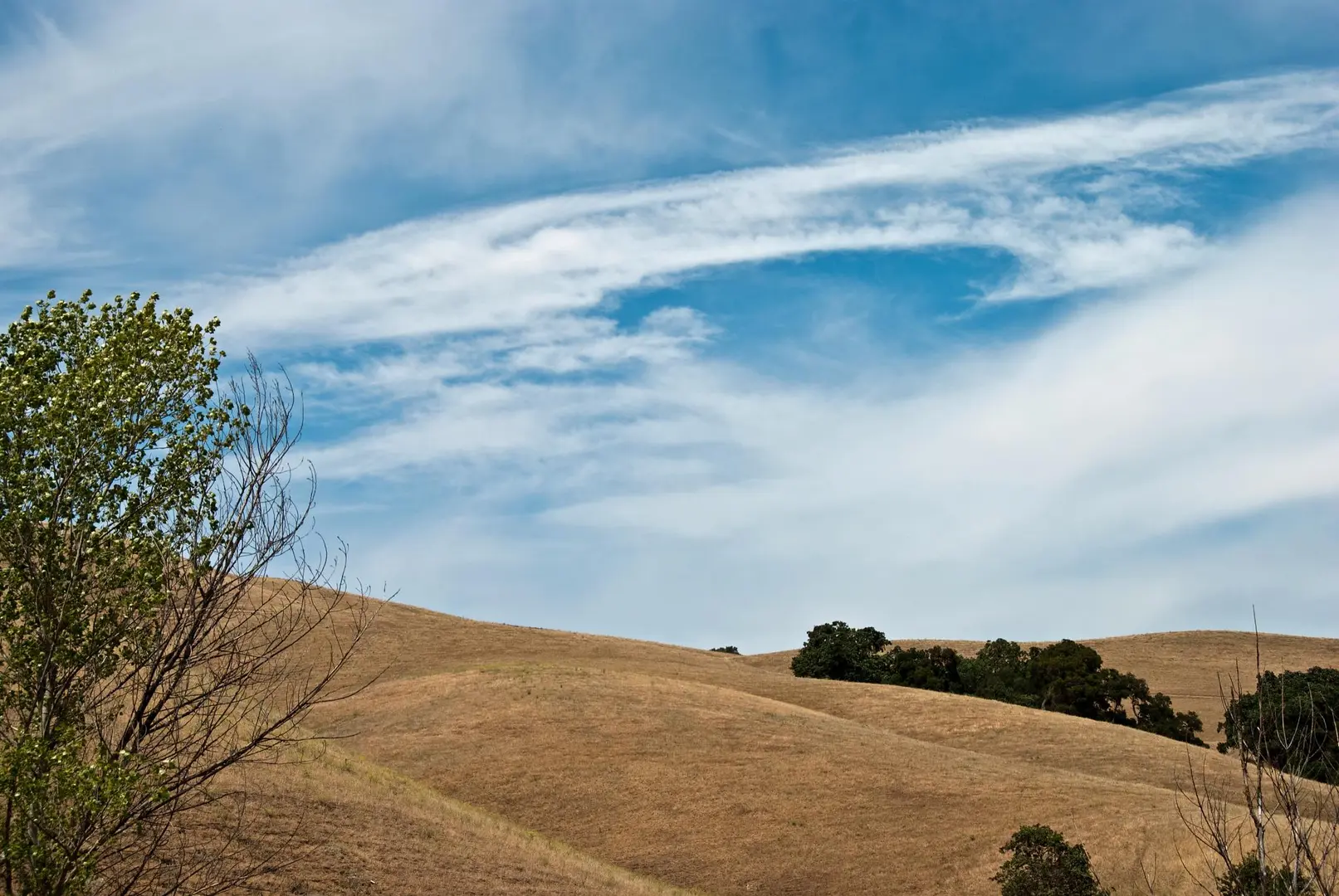 An image depicting the trail Shady Slope and Sand Hill Loop Trail and its surrounding area.