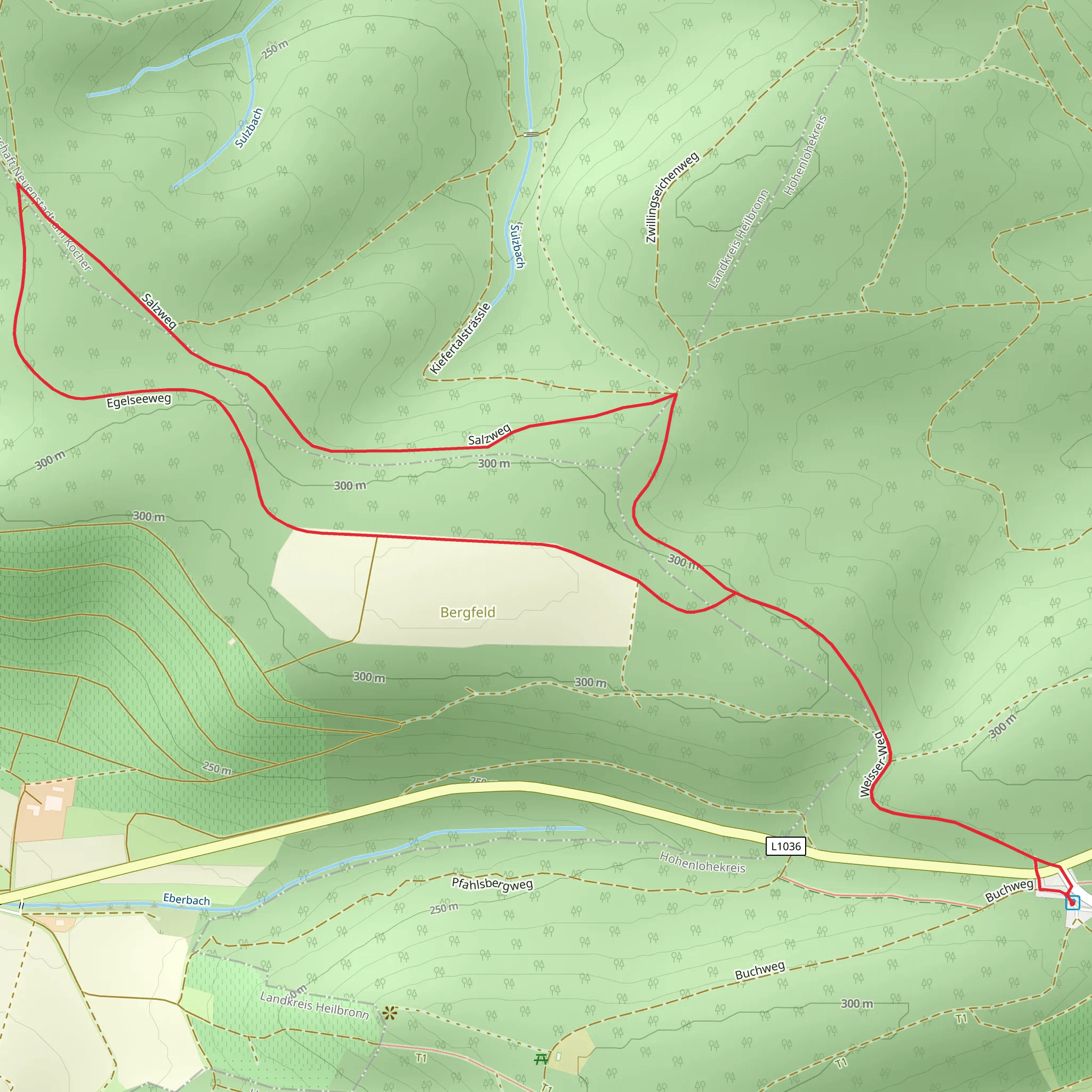 Egelseeweg and WT9 Panoramaweg Eberstadt Loop mobile static map