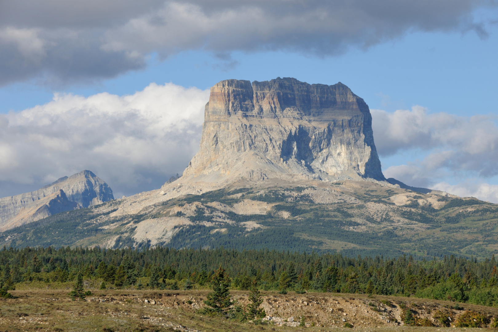 An image depicting the trail Otatso Creek Trail and its surrounding area.