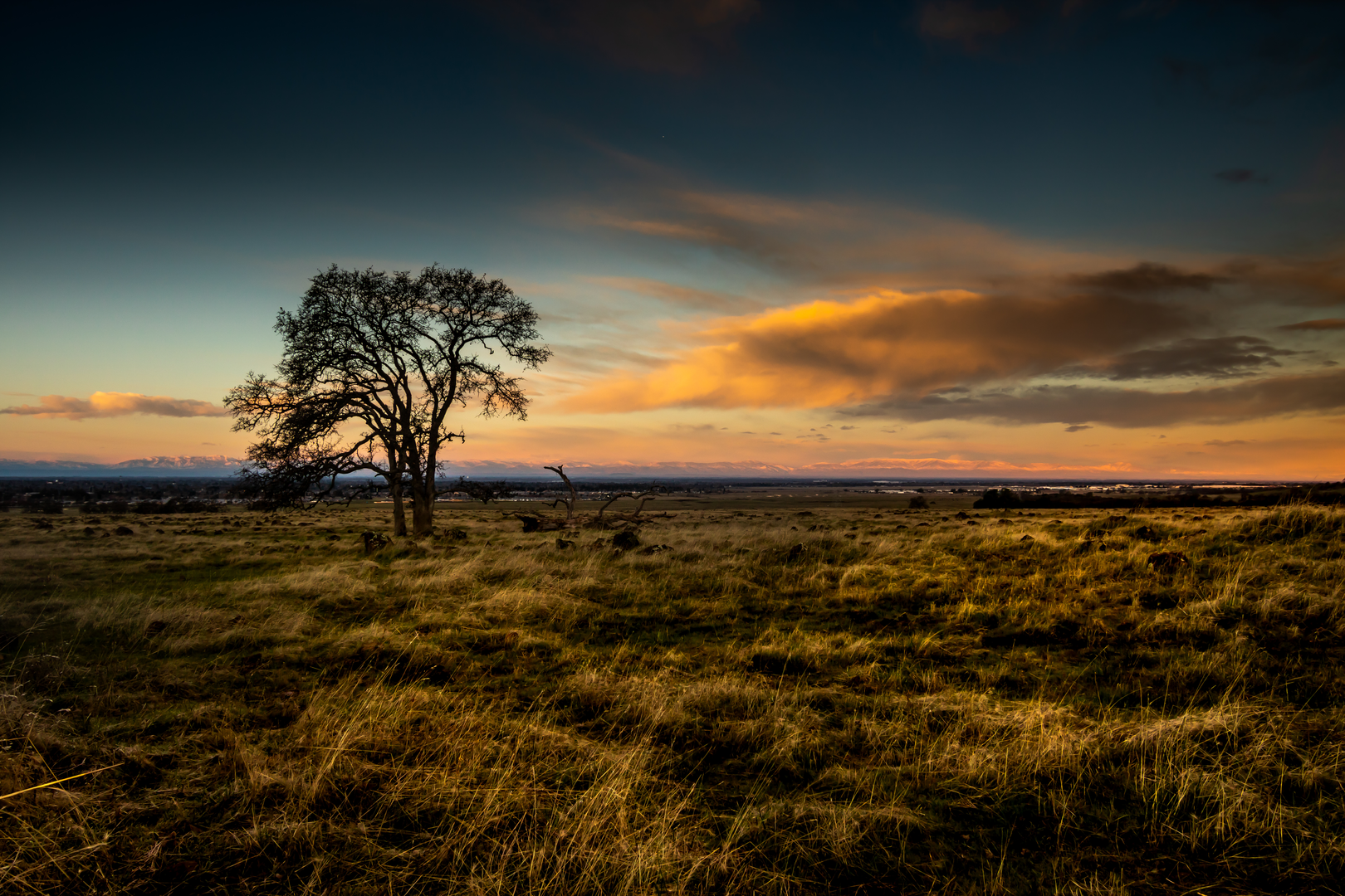 An image depicting the trail Lindo Channel Loop and its surrounding area.