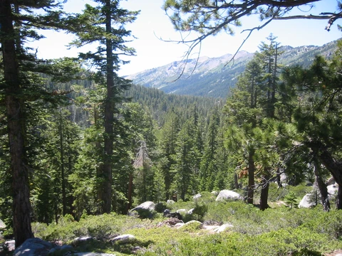 Red Lake to Lake Audrian via PCT