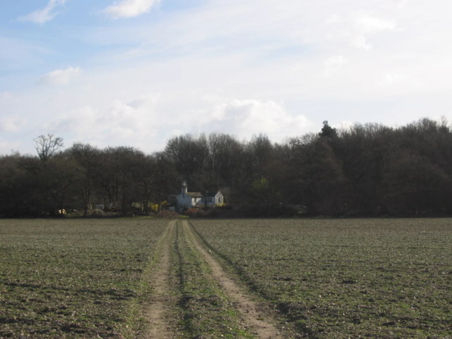 An image depicting the trail Knebworth Country Park and Cannocks Wood Loop and its surrounding area.