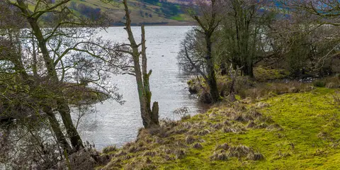 An image depicting the trail Middleton in Teesdale to Harwich Walk and its surrounding area.