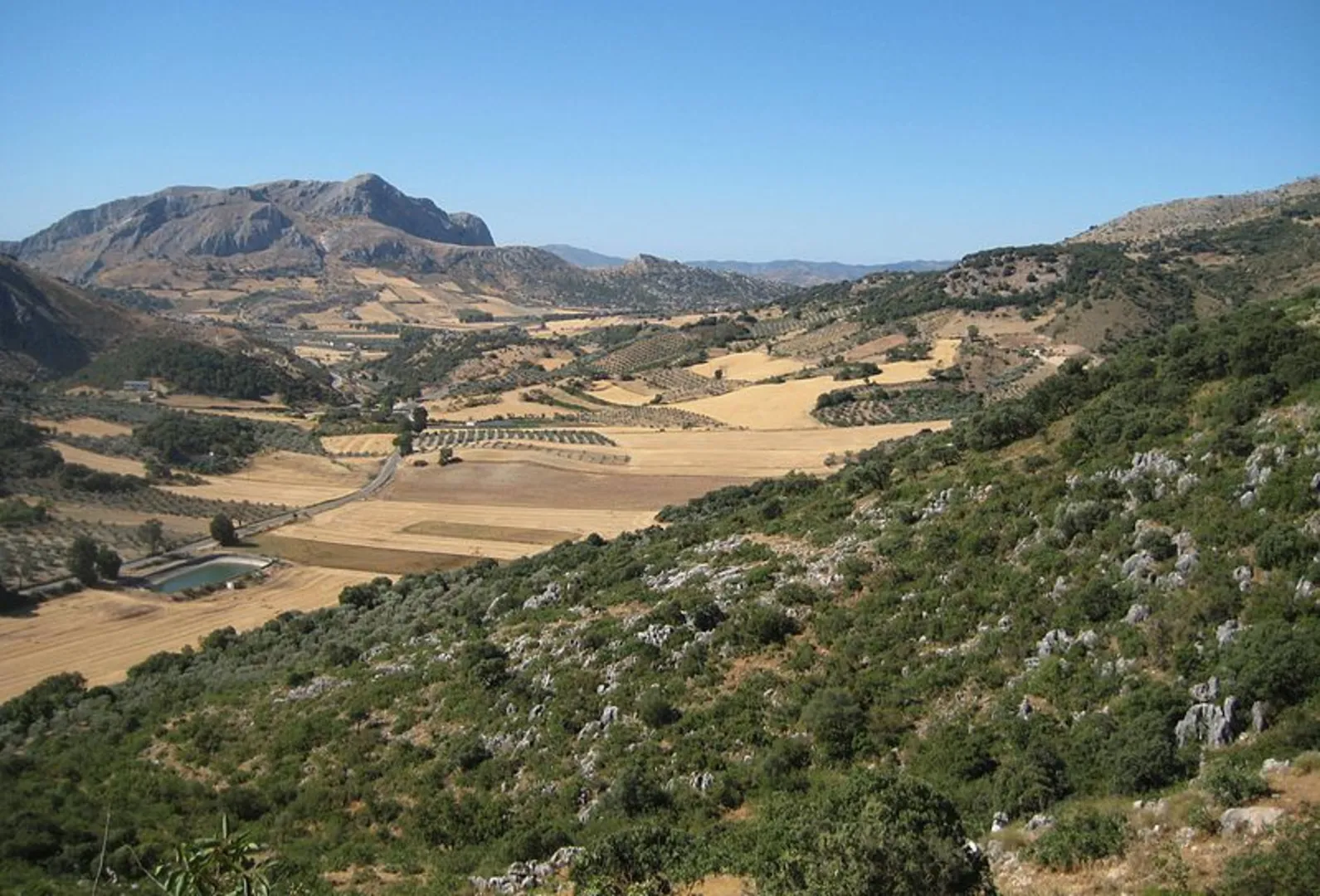 An image depicting the trail Of the batteries PR A 266 and its surrounding area.