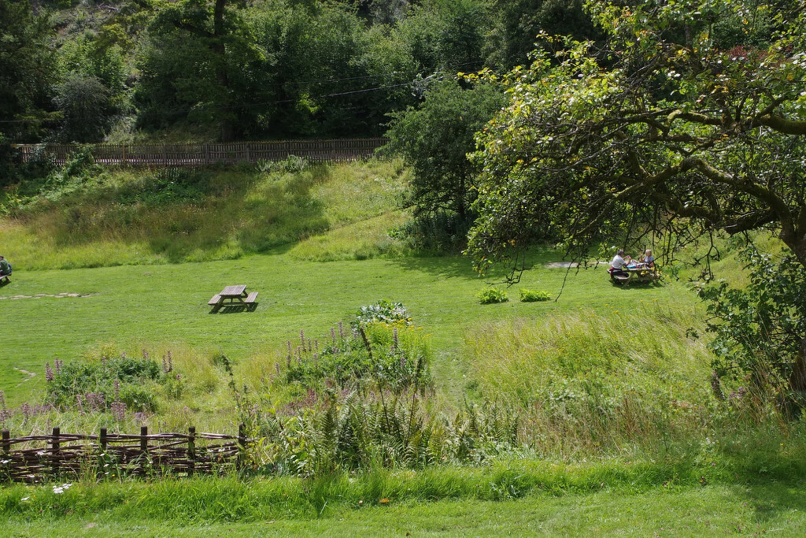 An image depicting the trail Chedworth Roman Villa Loop and its surrounding area.