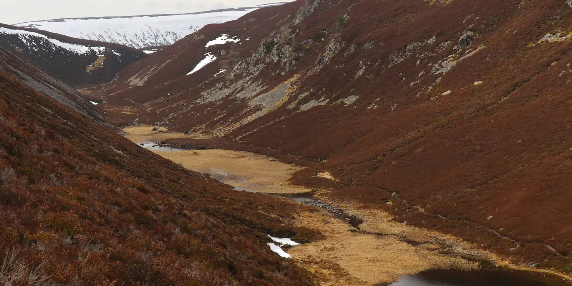 An image depicting the trail Creag Bhalg Loop via Quoich Water and its surrounding area.
