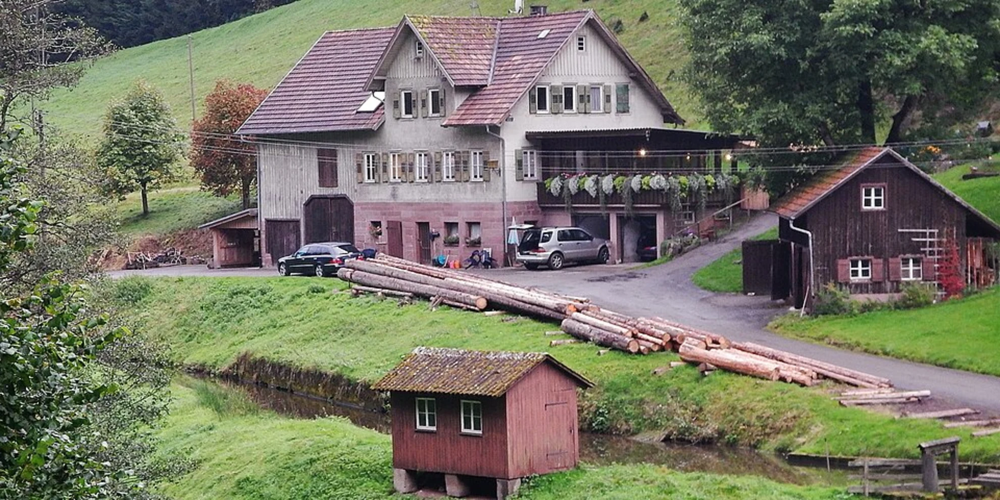 An image depicting the trail Oberwald and Mitterwald Loop - Haßloch and its surrounding area.