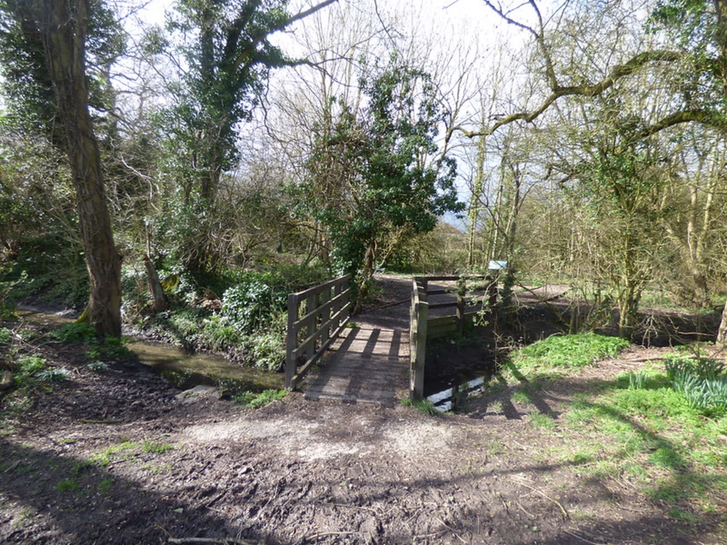 An image depicting the trail Knowle's Wood and Langley Country Park and its surrounding area.