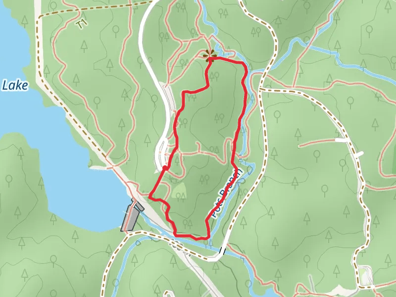 Pott's Branch Loop Trail