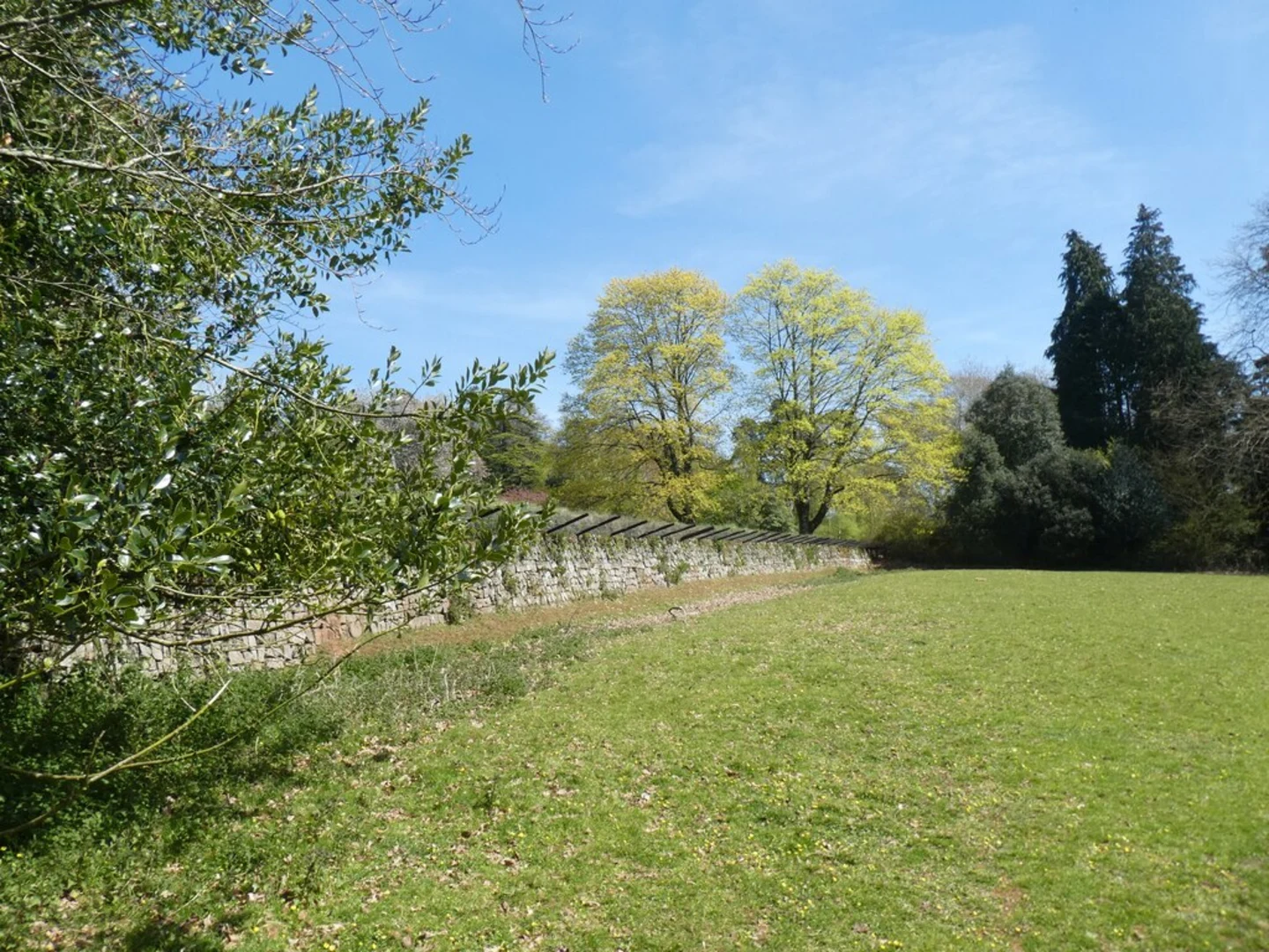 An image depicting the trail Knightshayes Veteran and Champion Tree Walk and its surrounding area.