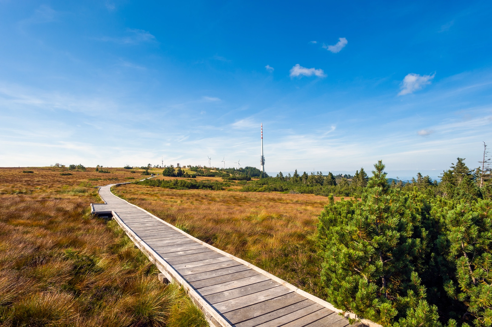 An image depicting the trail Seensteig and its surrounding area.