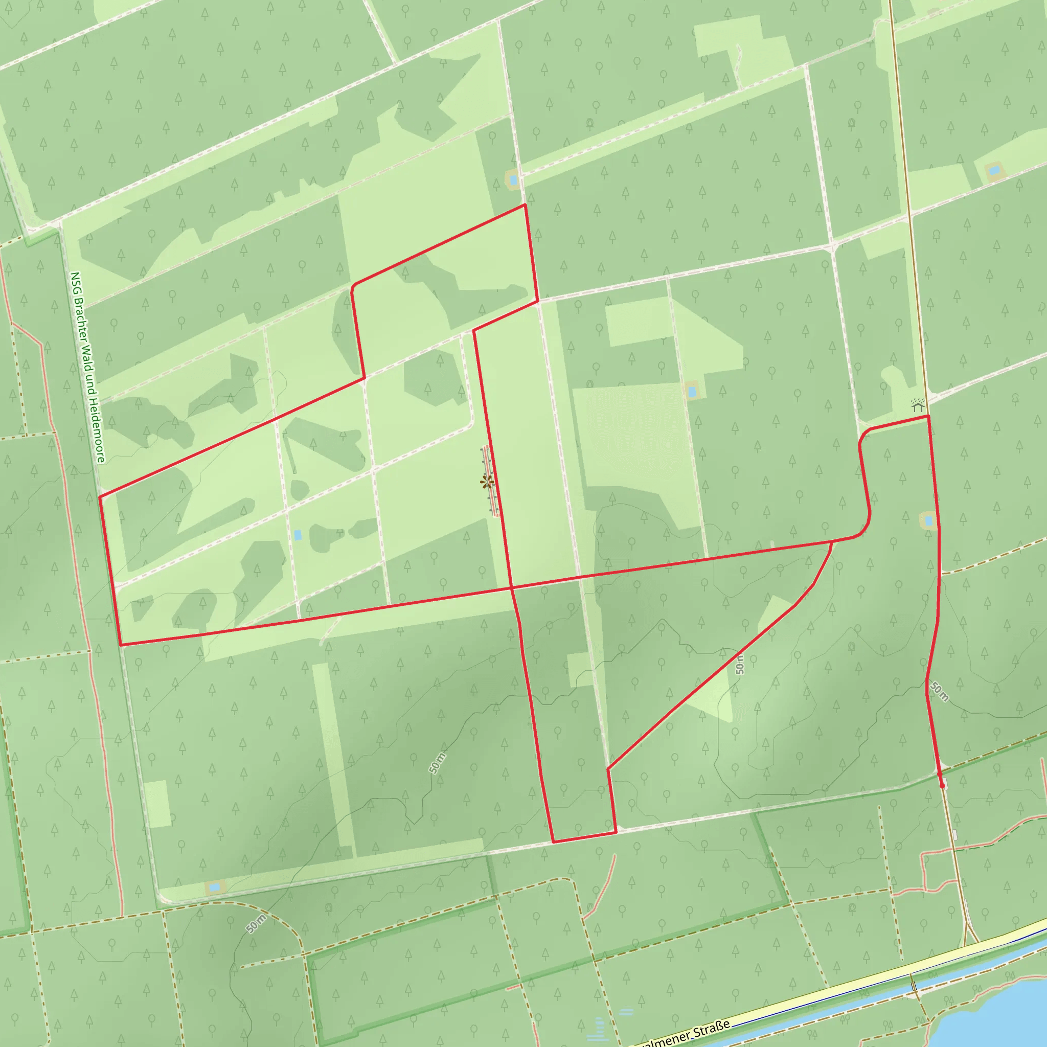 NSG Brachter Wald Wanderweg Gruen Loop mobile static map