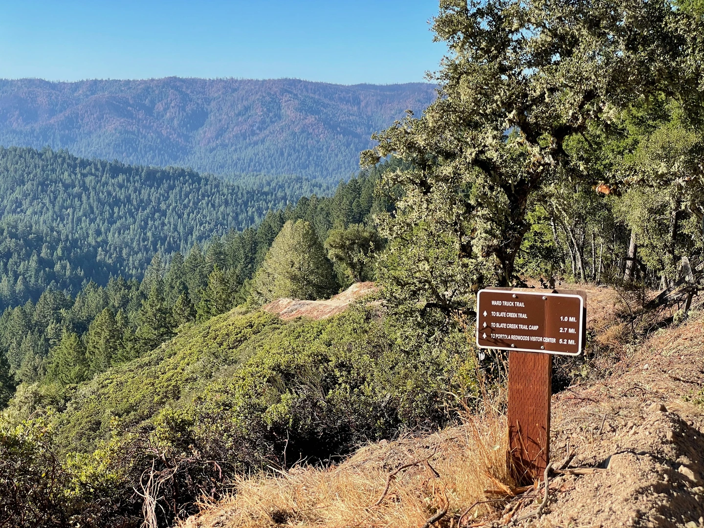 An image depicting the trail Bear Creek Trail via Slate Creek Trail and its surrounding area.