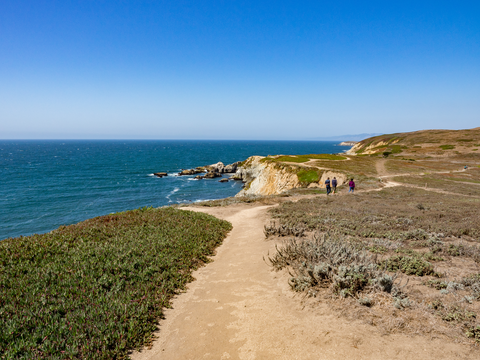 Bodega Head Trail