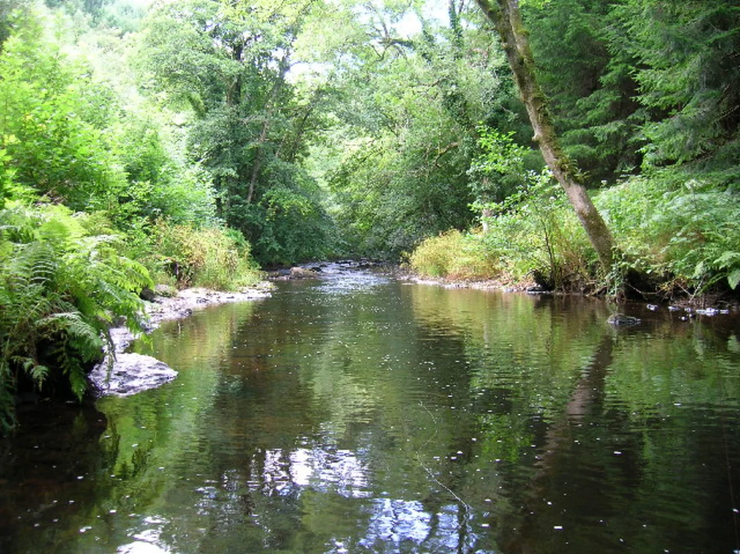 An image depicting the trail River Teign and Fisherman's Path and its surrounding area.