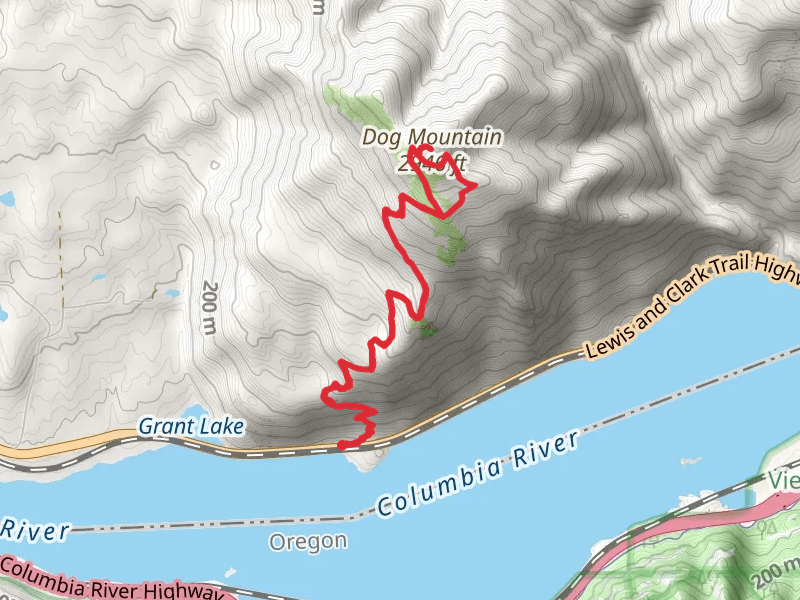 Dog Mountain Trail - East