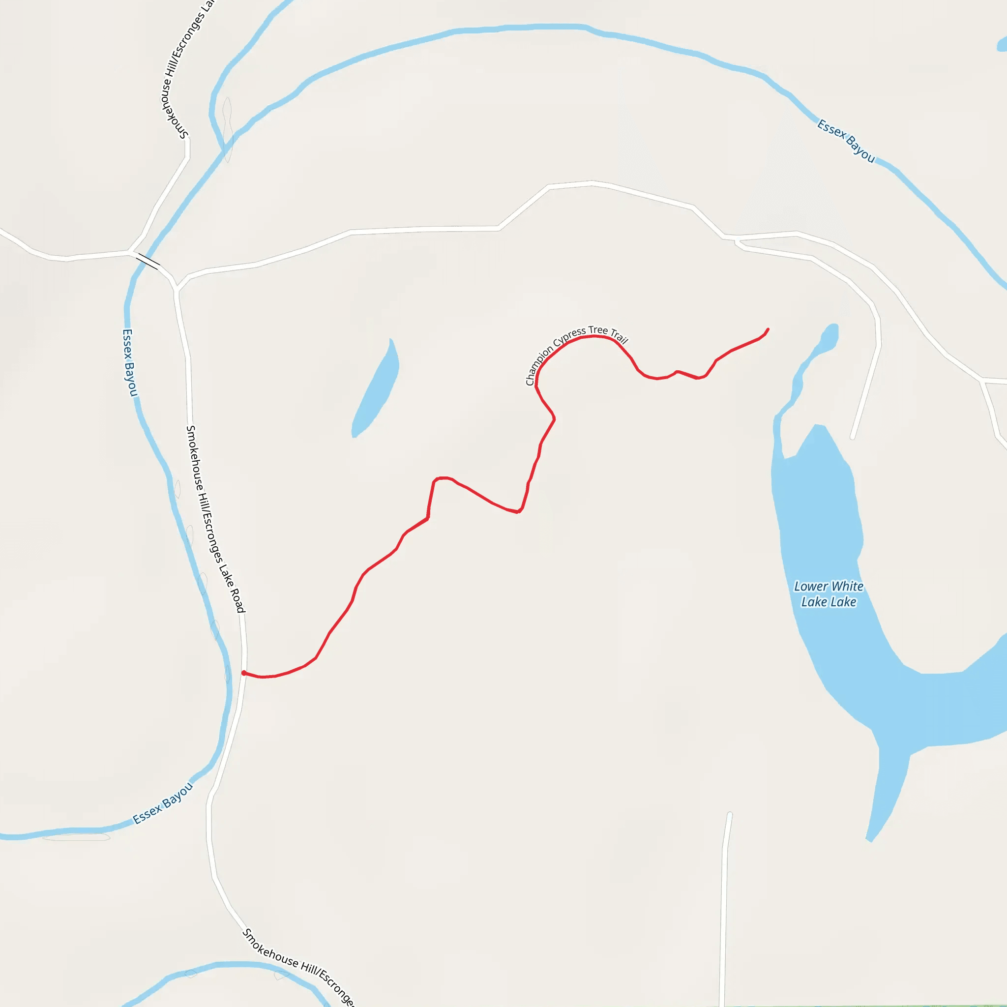 Champion Cypress Tree Trail mobile static map