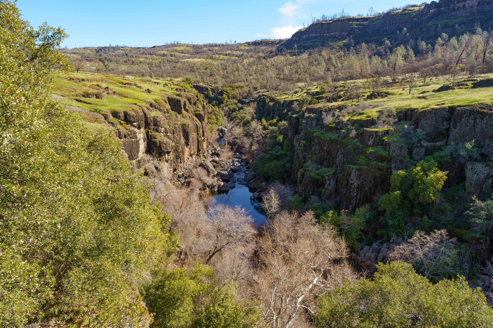 An image depicting the trail Yahi Trail, Upper Trail and Live Oak Trail Loop and its surrounding area.
