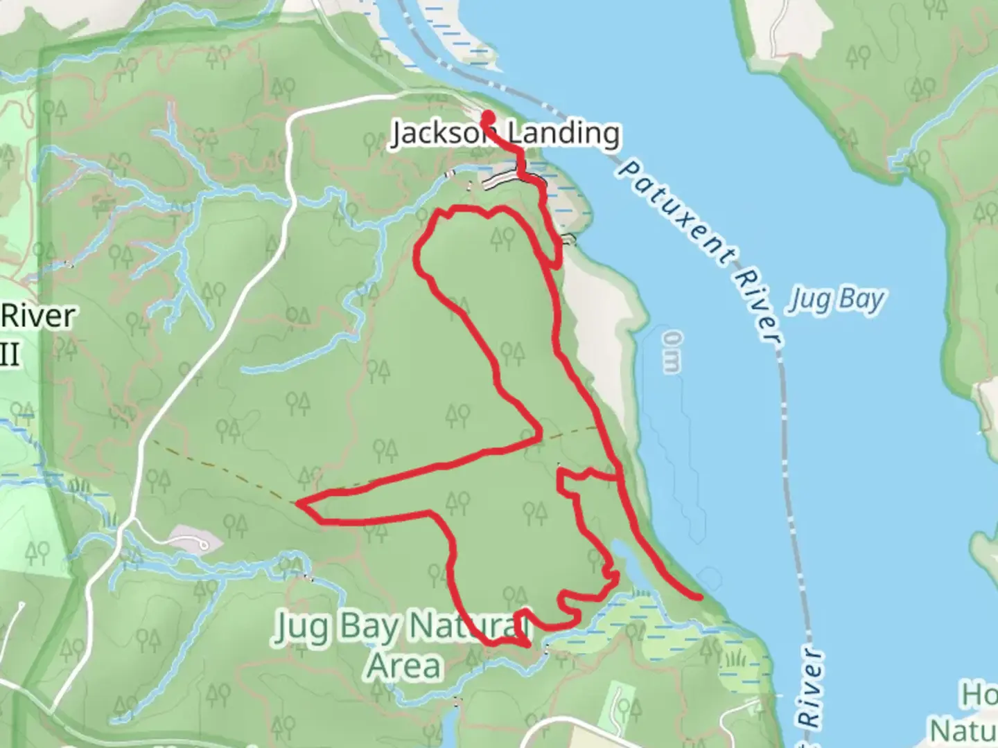 An image depicting the trail Brown and Blue Loop and its surrounding area.