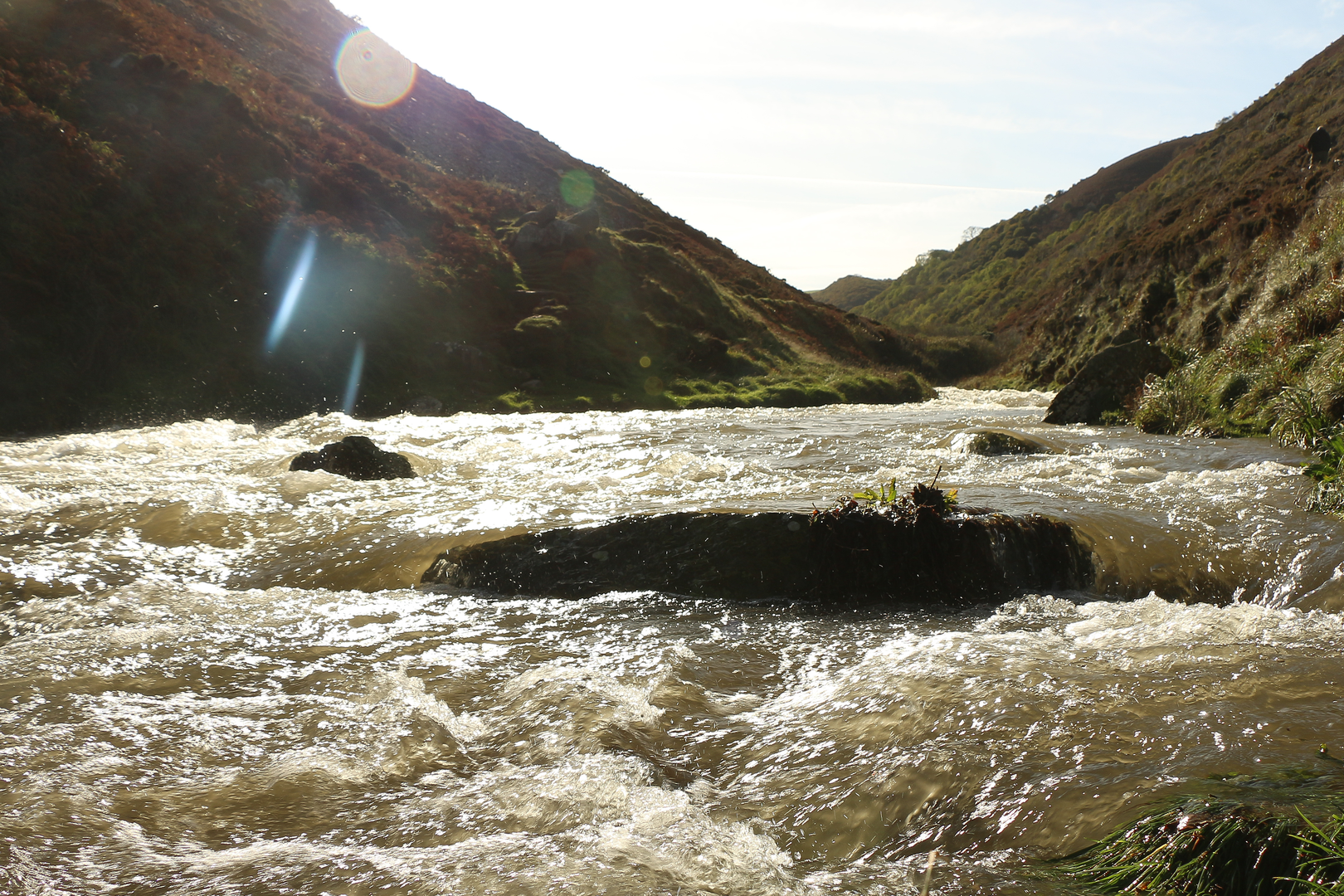 An image depicting the trail Exmoor's most Magical Butterfly Walk and its surrounding area.
