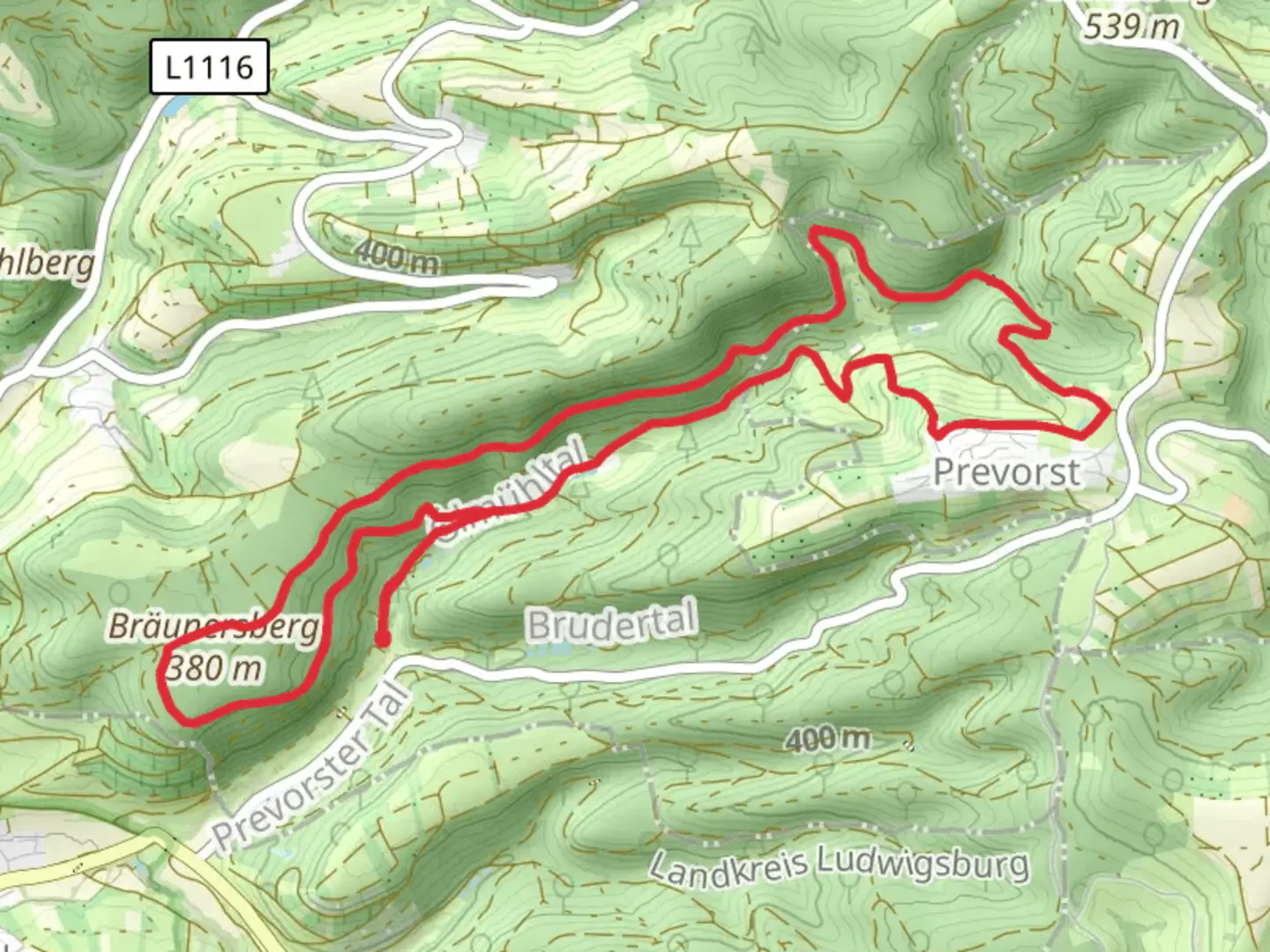 An image depicting the trail Braeunersbergweg and Reifstangenweg Loop and its surrounding area.
