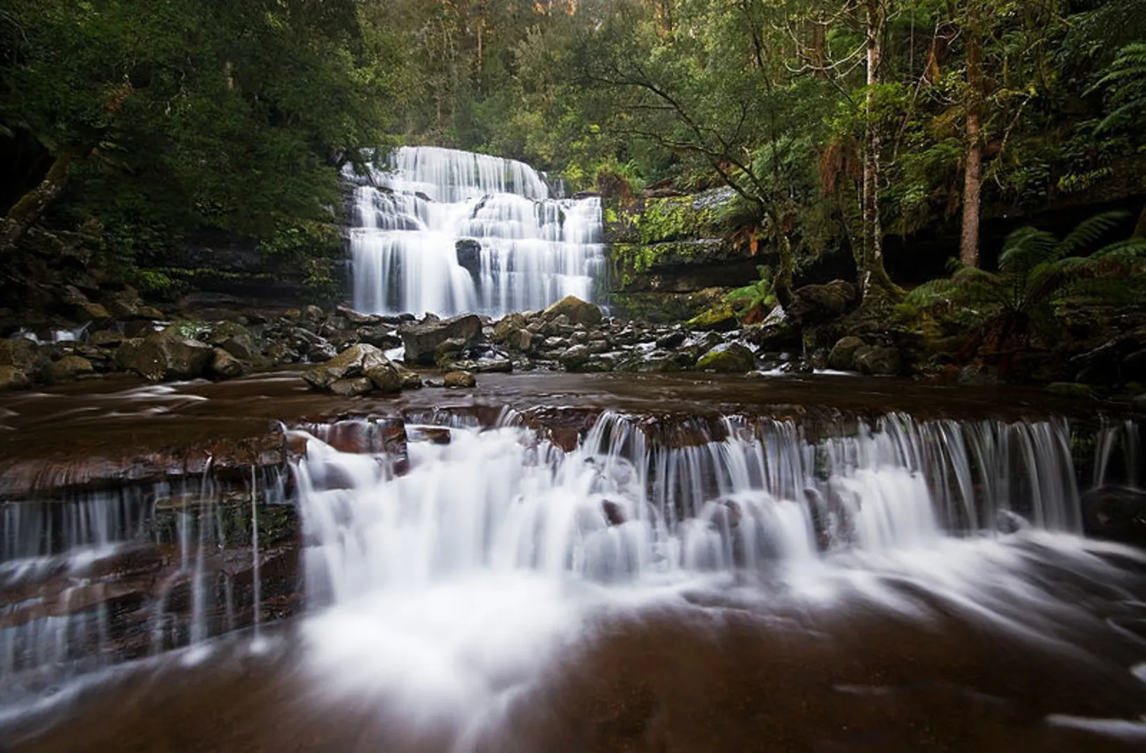 An image depicting the trail Liffey Falls Walk and its surrounding area.