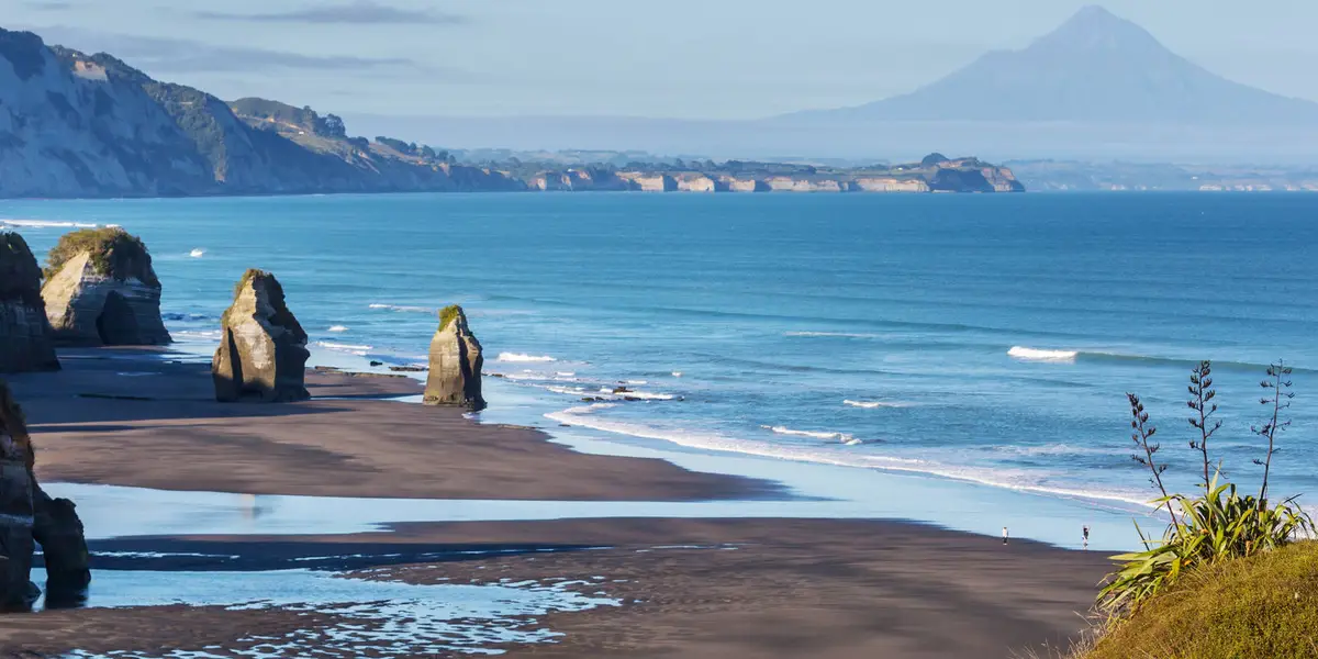 Bream Headland Loop Track