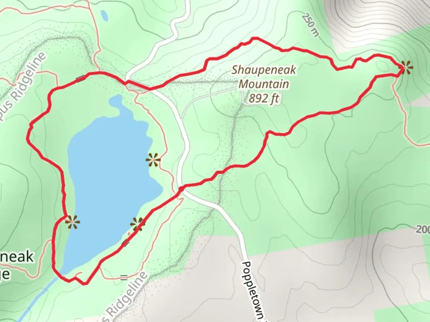 An image depicting the trail Louisa Pond and Shaupeneak Mountain Loop and its surrounding area.