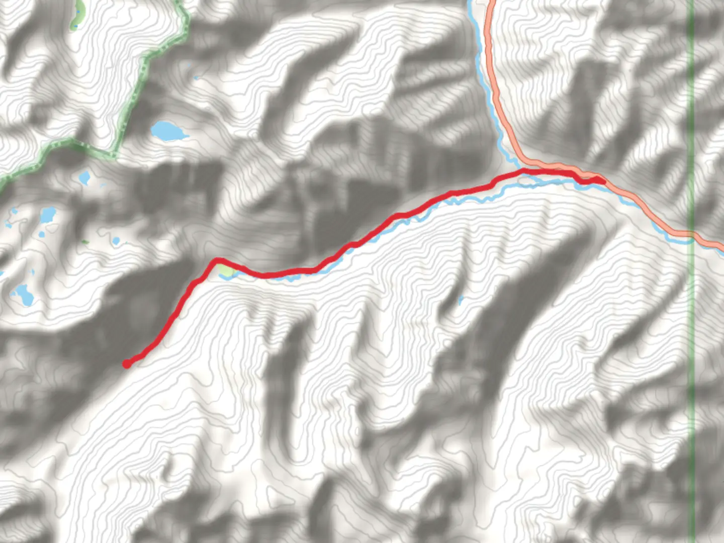An image depicting the trail Walk beside South Fork Mineral Creek and its surrounding area.