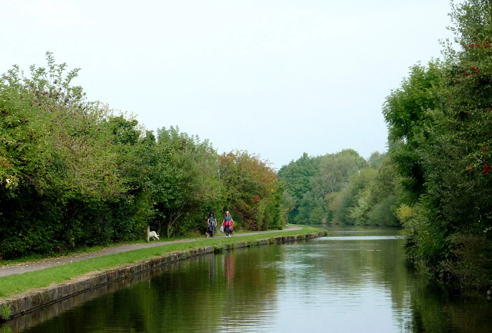 An image depicting the trail Trentham Lakes Loop and its surrounding area.