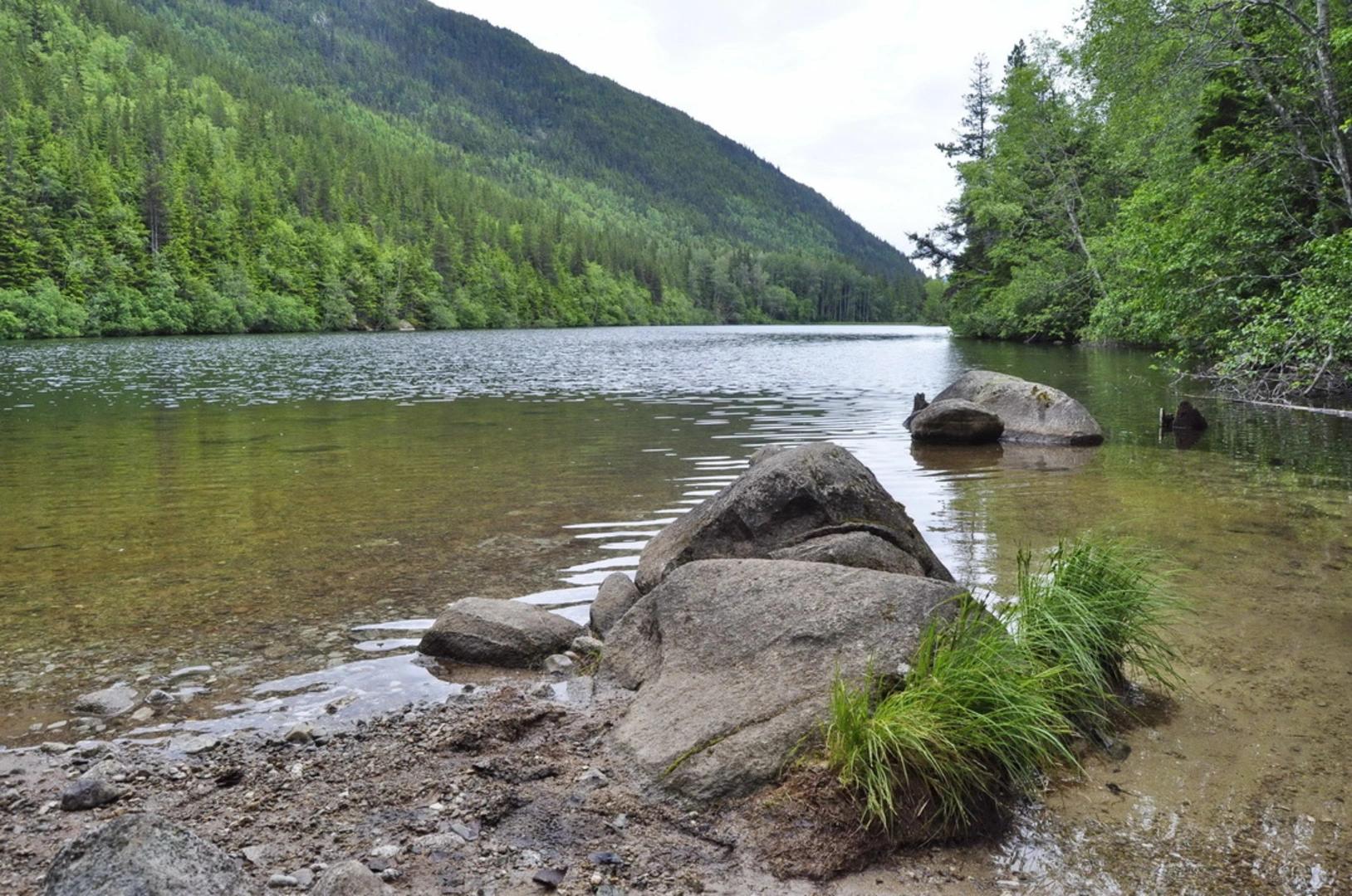 An image depicting the trail Lower Dewey Lake Trail and its surrounding area.
