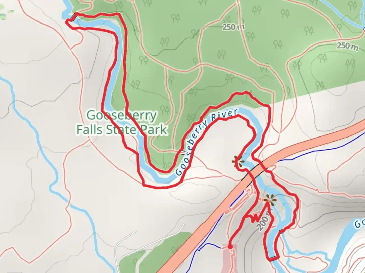 An image depicting the trail Gooseberry River - River View Trail and its surrounding area.