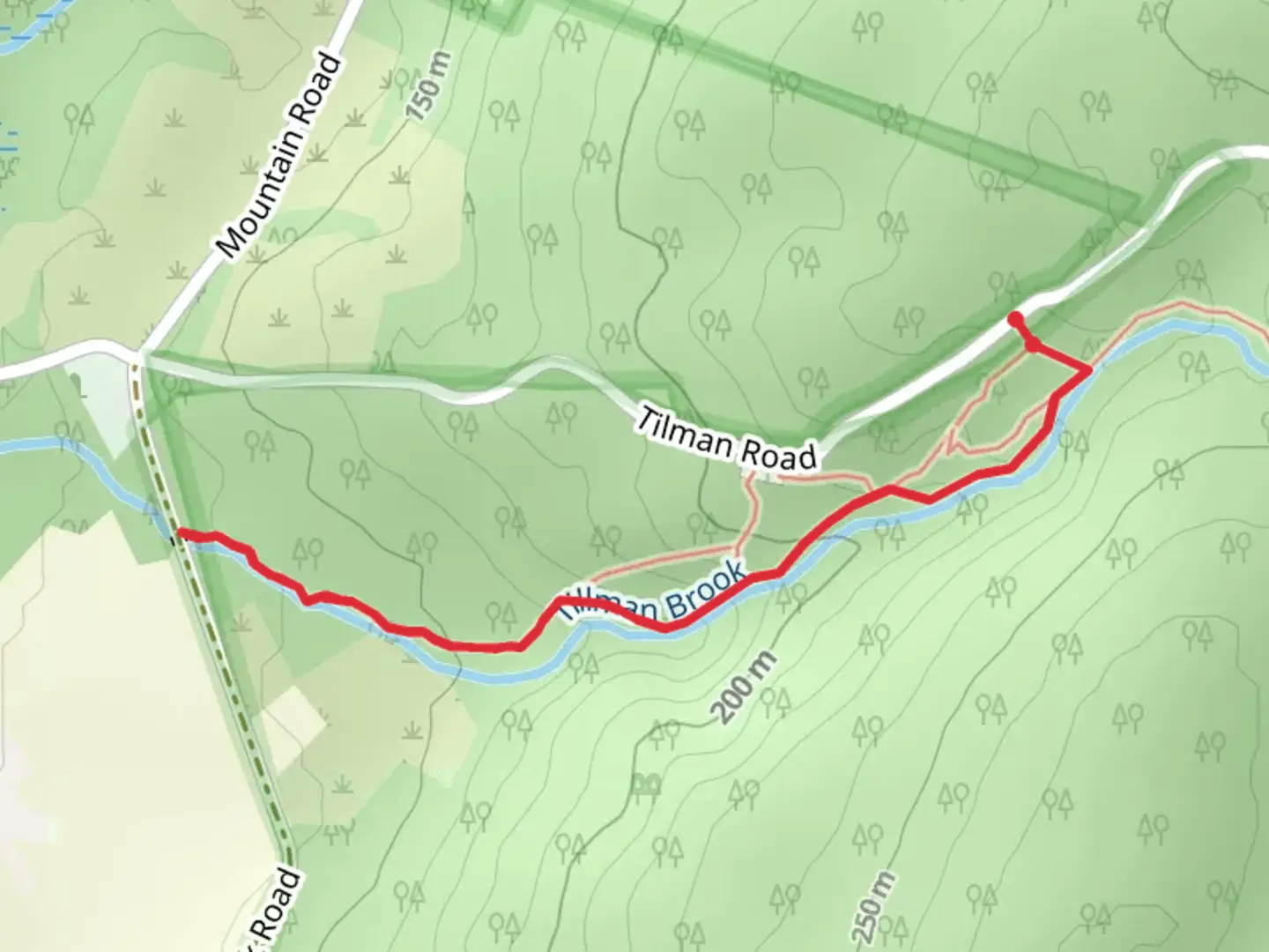 An image depicting the trail Tillman Brook - Cemetery Trail and its surrounding area.