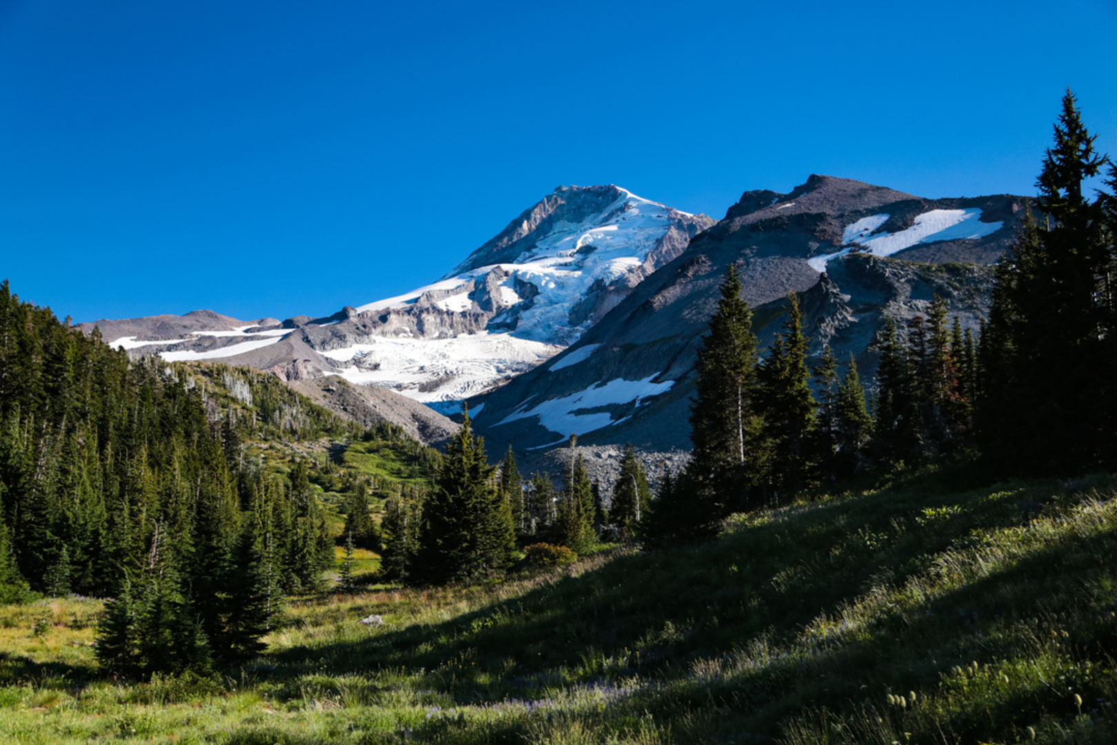 An image depicting the trail Pinnacle Ridge Trail and its surrounding area.