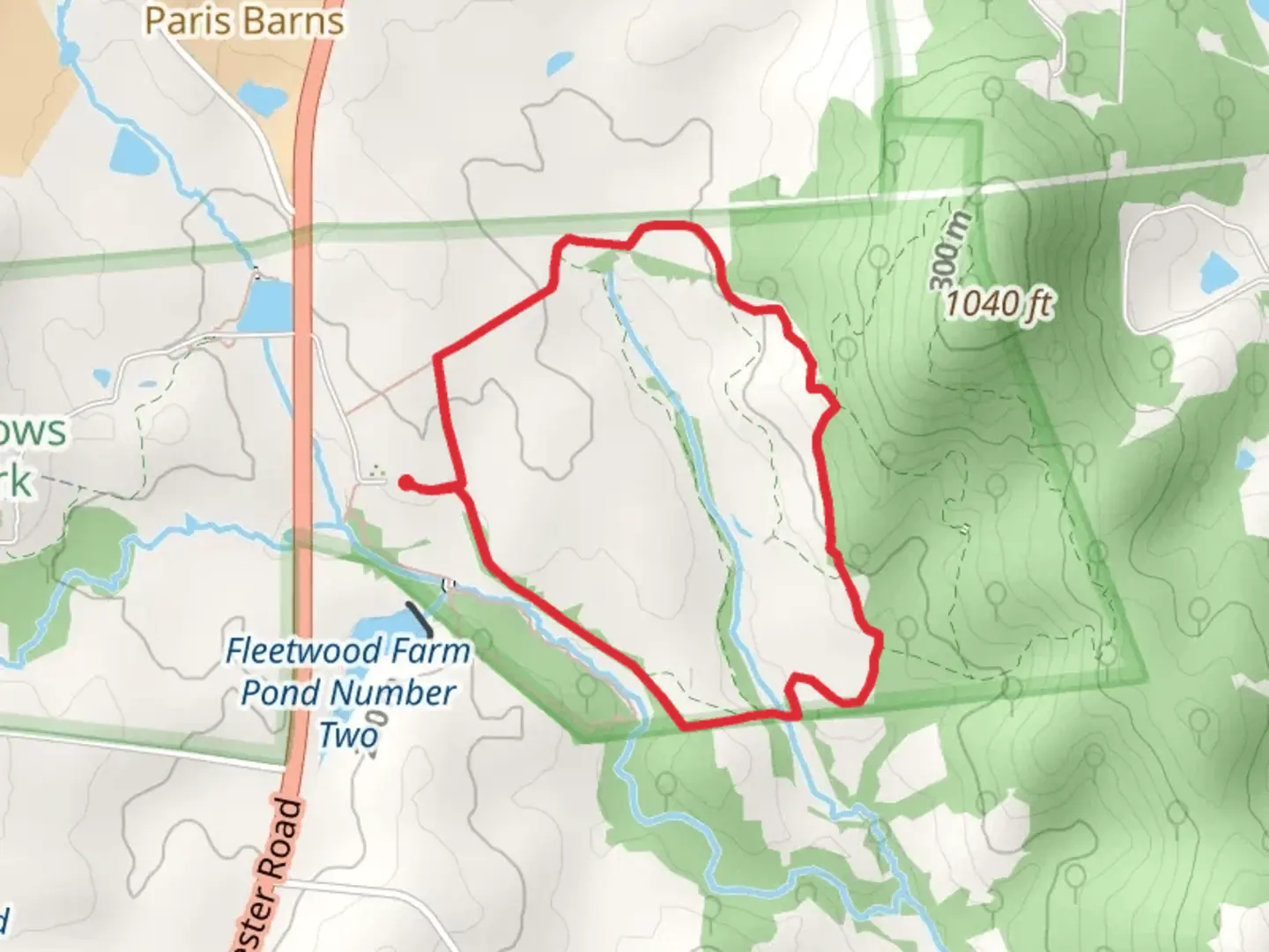 An image depicting the trail Rolling Meadows Loop Trail and its surrounding area.