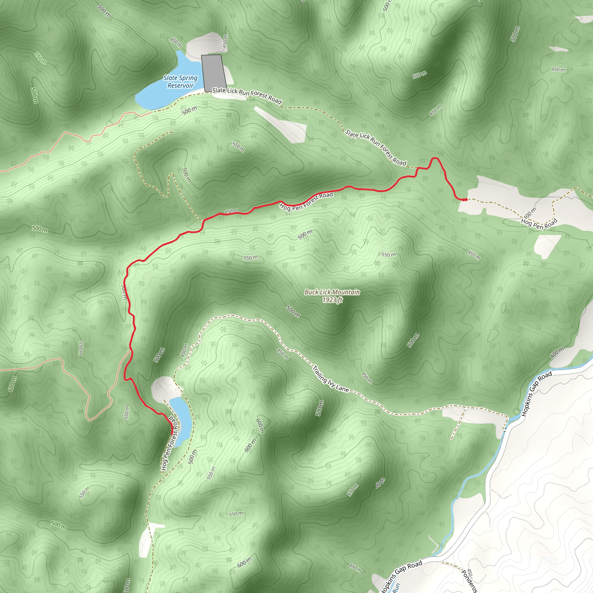 Hog Pen Forest Road mobile static map