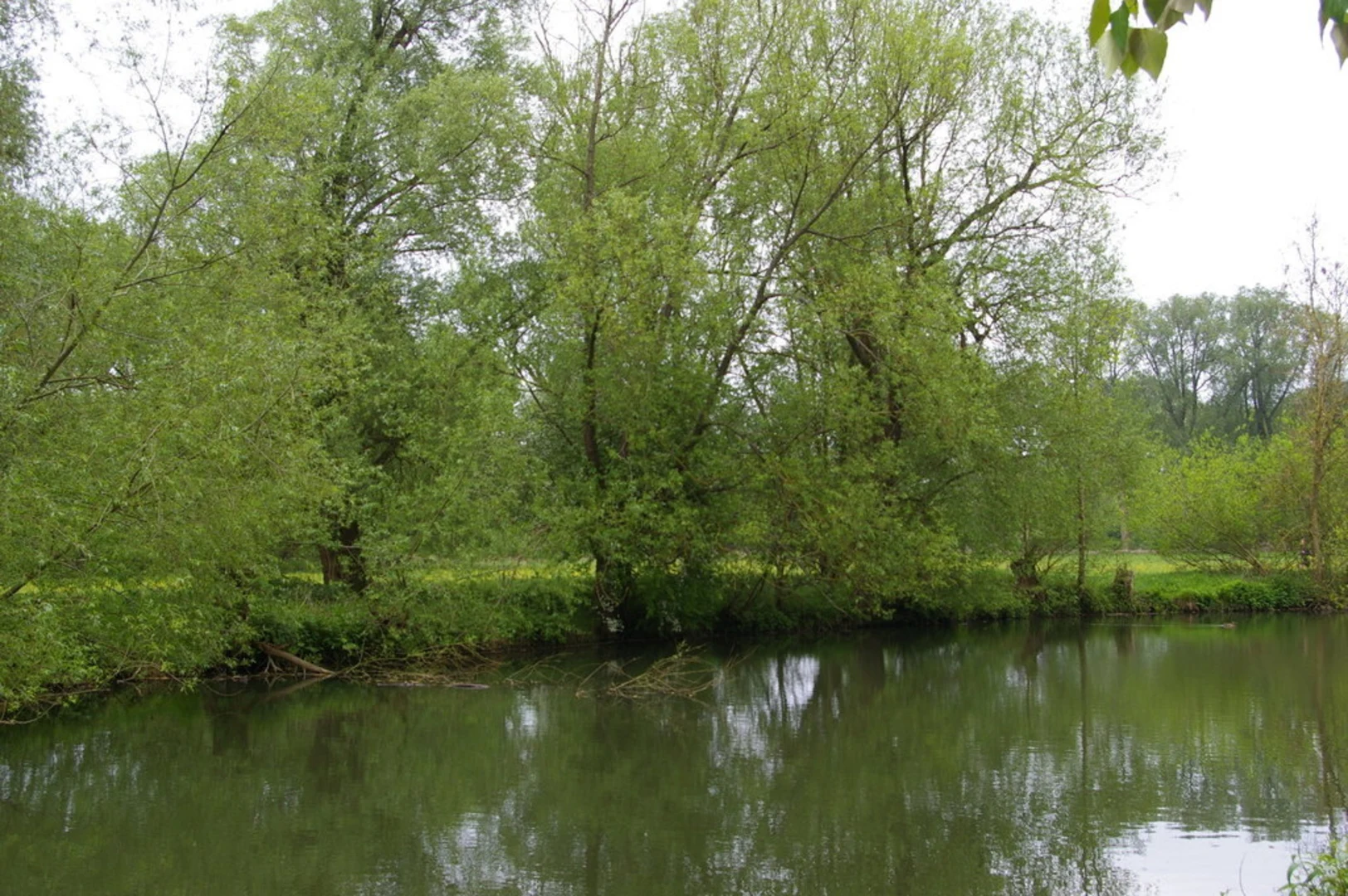 An image depicting the trail River Cherwell Loop and its surrounding area.